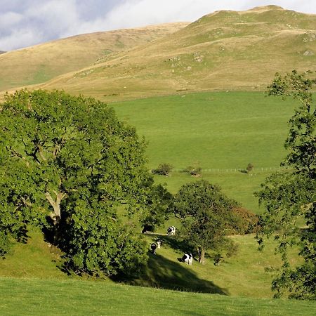 Gateside Farmhouse Sedbergh Luaran gambar