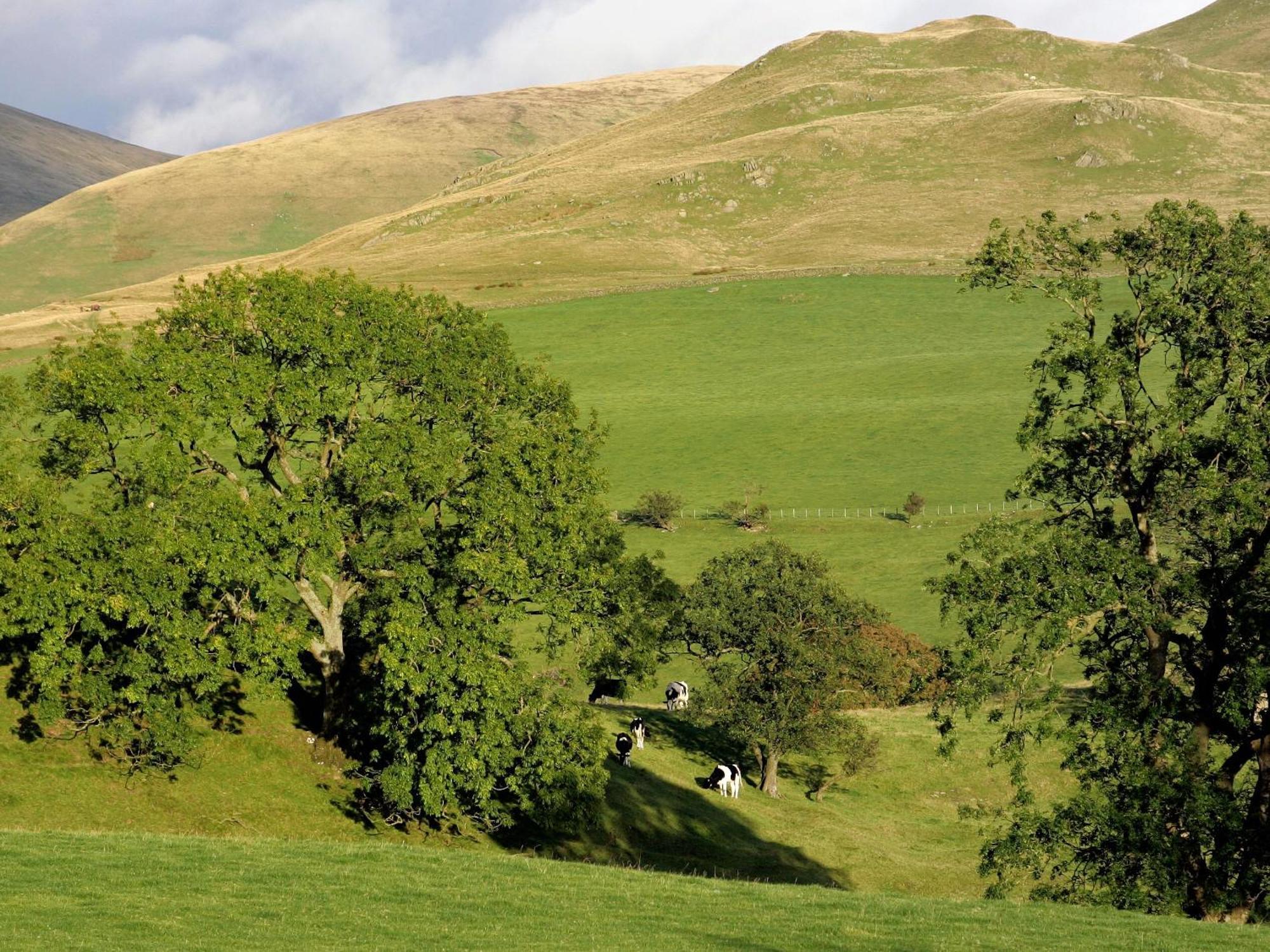 Gateside Farmhouse Sedbergh Luaran gambar